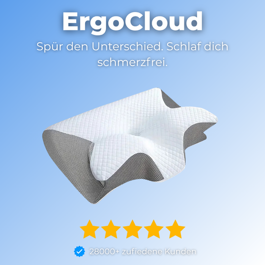 ErgoCloud