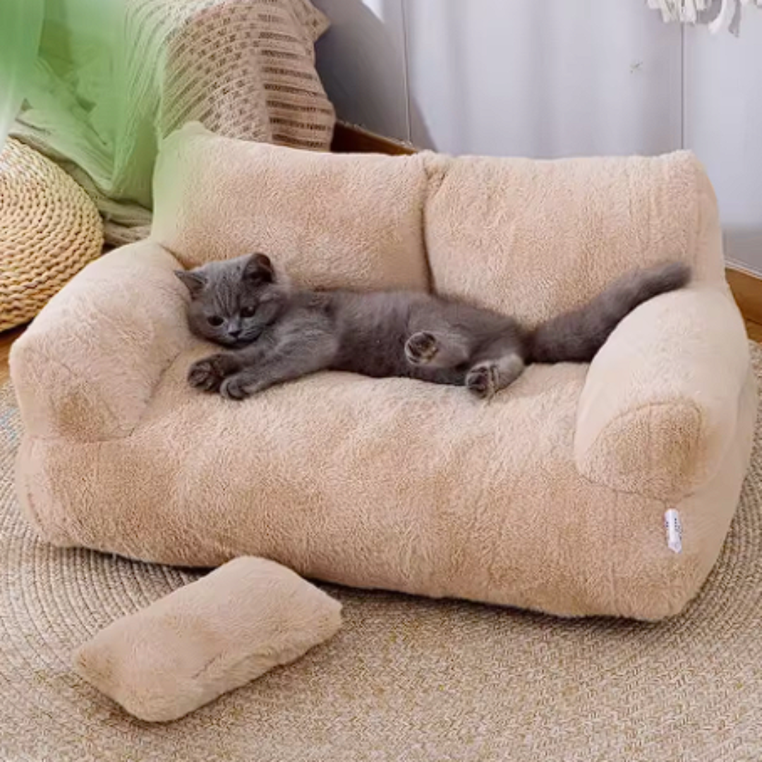 PetCouch