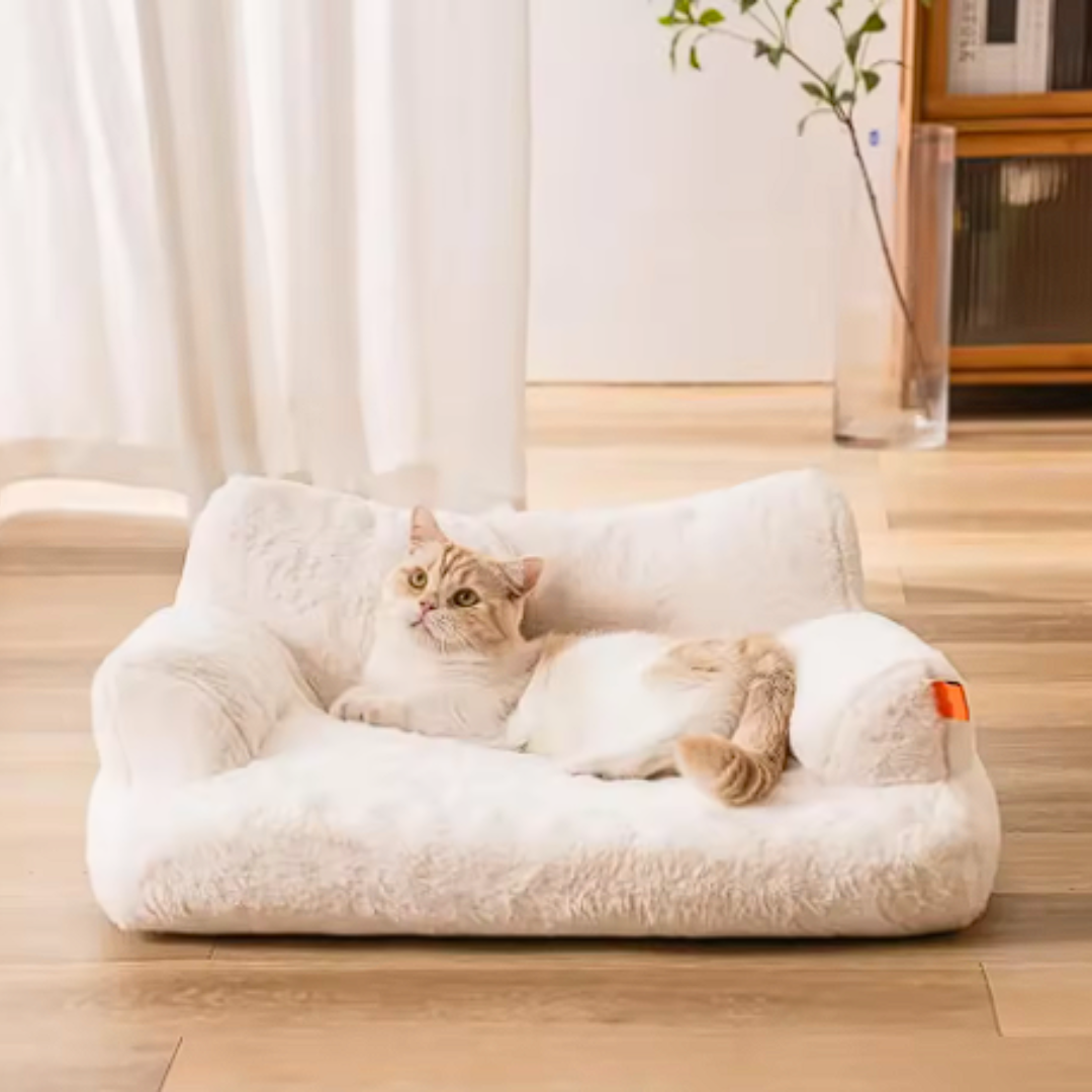 PetCouch