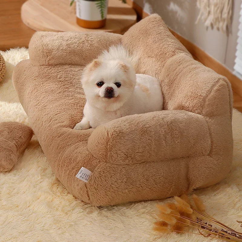 PetCouch