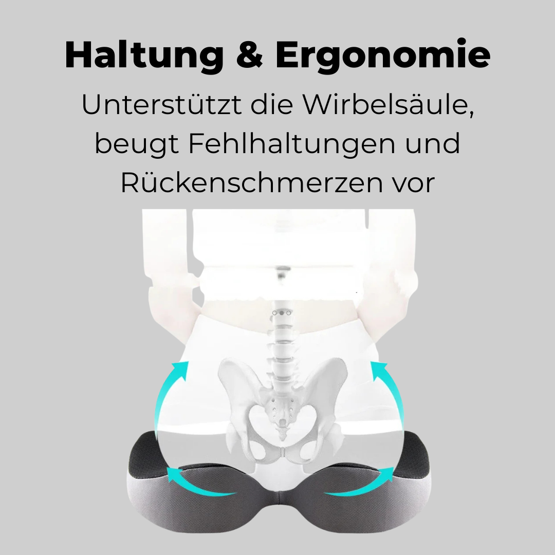 SitzHeld Orthokissen